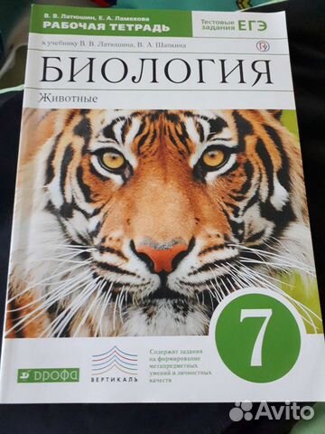 Рабочая тетрадь