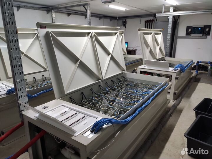 Иммерсионная ванна 24 асика S19 Whatsminer