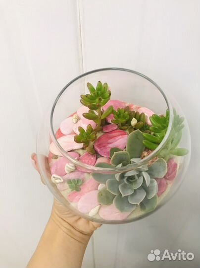 Подарок флорариум