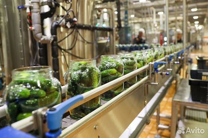 Фасовщик овощей. Проживание/питание вахта