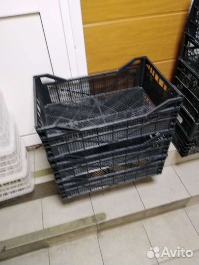 Пластиковые ящики для овощей бу
