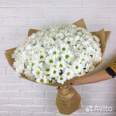 Букет Хризантем Цветы Букеты