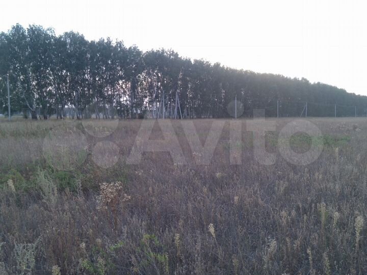 Участок 15 сот. (СНТ, ДНП)