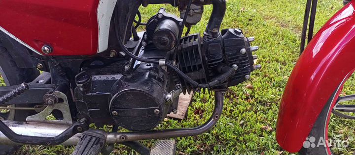 Alpha RX 125 см