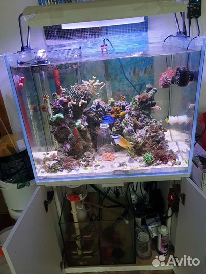 Аквариум с тумбой 180 л