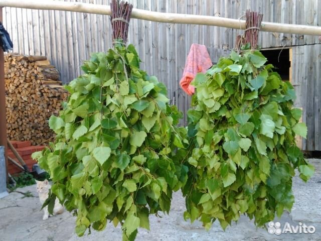 Березовые веники в сетке 2023