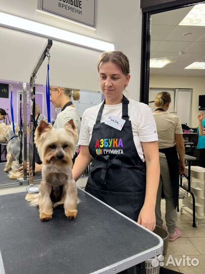 Стрижка собак и кошек (Груминг)