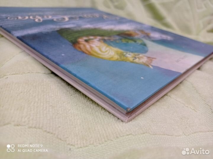 Кот И сова, Лир, илл. Ингпен