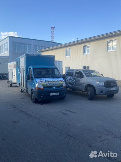 Конеперевозки 5 голов, коневоз, лошади, крс