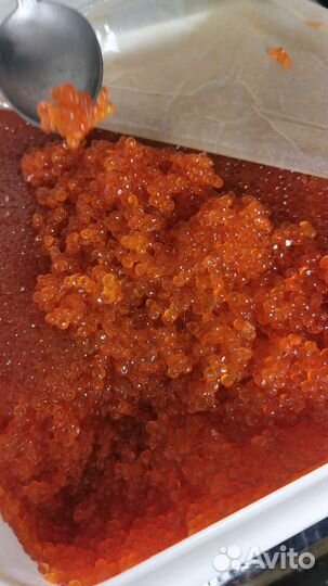 Икра нерки 2023. Опт и розница