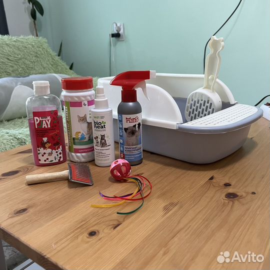 Набор для кошки