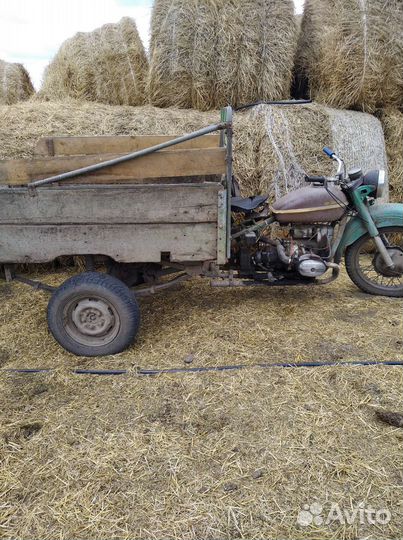 Венгерская мангалица