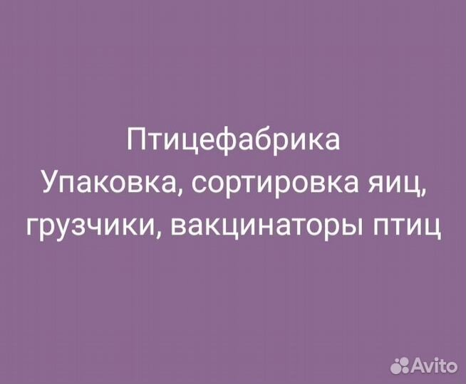 Сортировка упаковка, грузчики, вакцинаторы