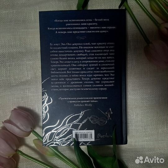 Книга Эхо Севера