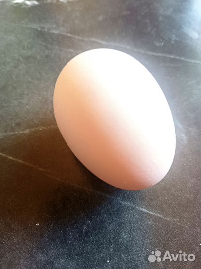 Китайский шёлковый абориген. И/Я