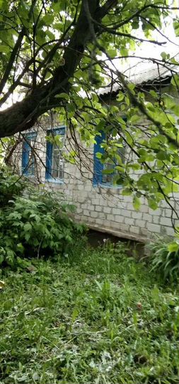 Дом 48 м² на участке 70 сот.