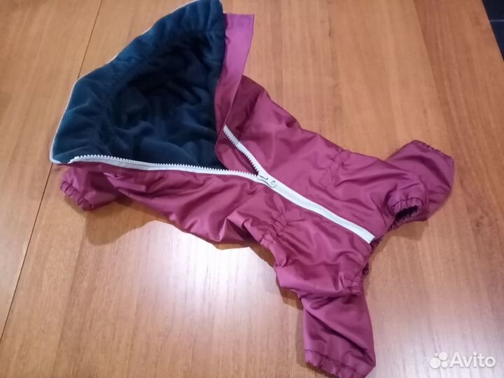 Одежда для собак