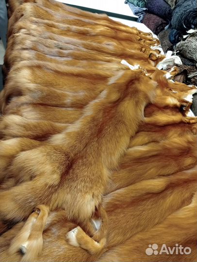 Шкурки лисы