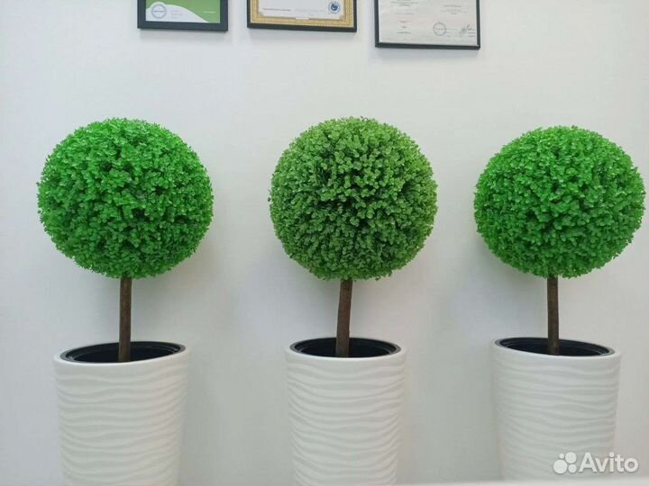 Искусственное дерево самшита в высоком кашпо