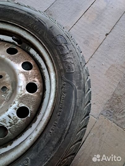 Sava Eskimo Stud 175/65 R14