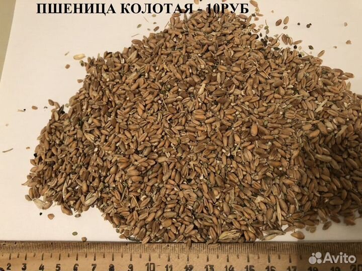 Кукуруза дробленая