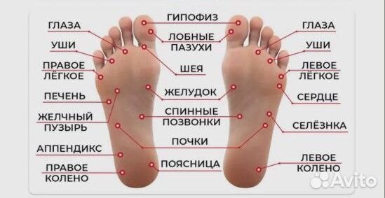 Массаж ног/стоп/ступней Питер Спб Центральный р-н
