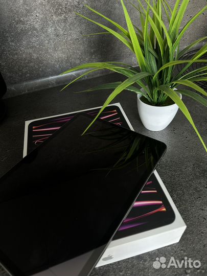 iPad pro 11 2022 256gb wi fi процессор m2