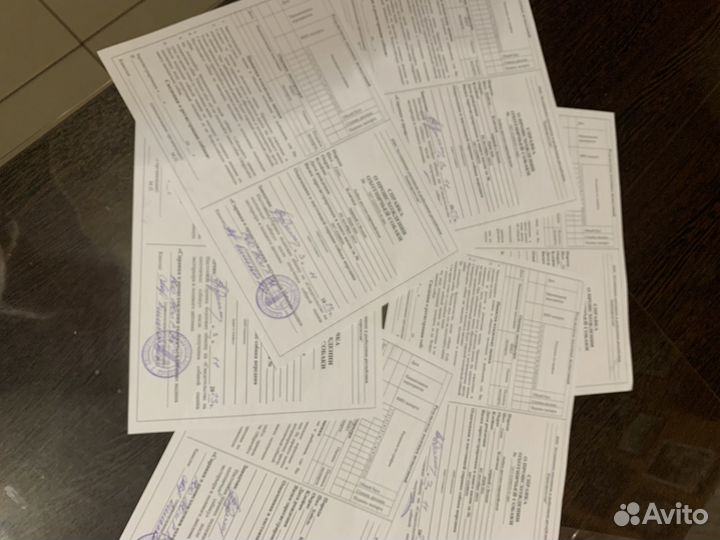 Продам щенков лайки русско европейской