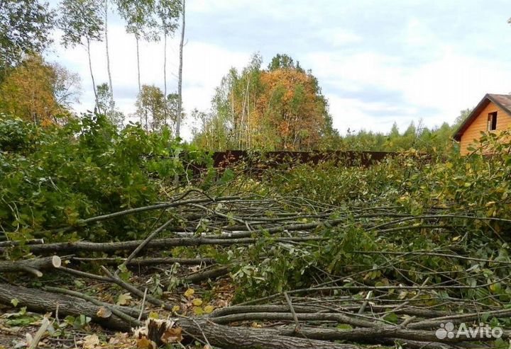 Спил дерева,покос травы