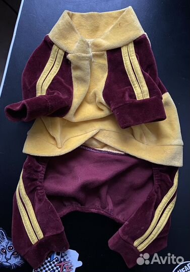 Костюм для собаки