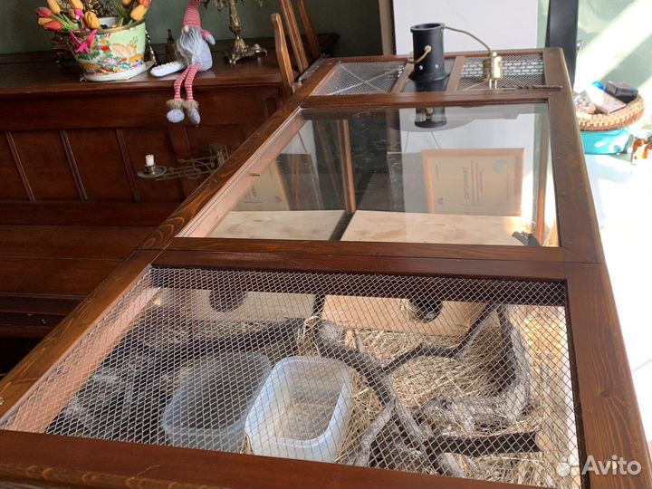 Террариум с Амурским полозом, дерево и стекло