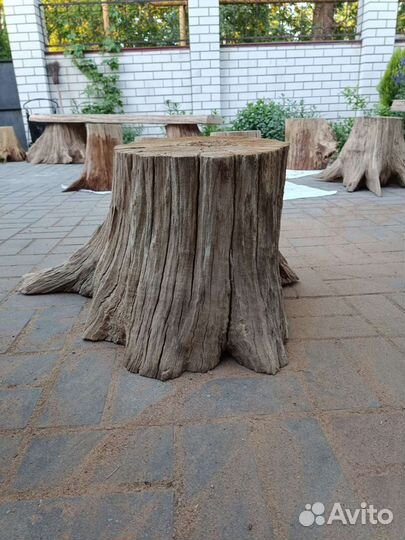 Пень с комелем, Подстолье под скамью