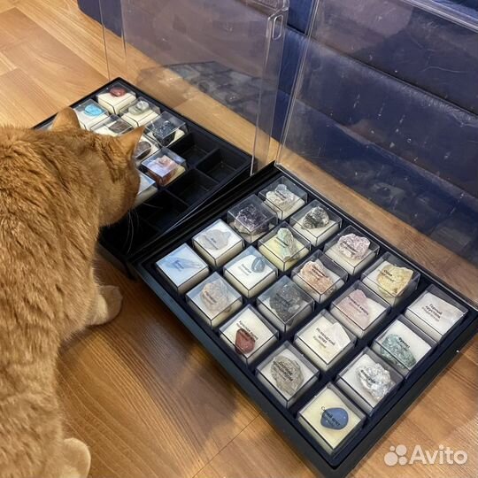 Минералы (из серии «Минералы: сокровища земли»)