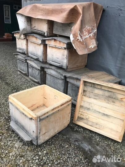 Пчелиные ульи