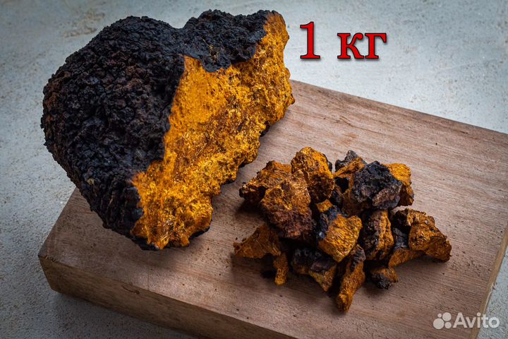 Гриб Чага – Русский Берёзовый – 200 грамм