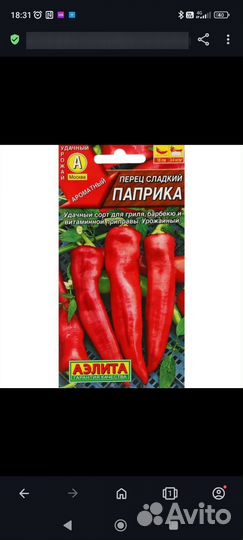 Перец болгарский рассада