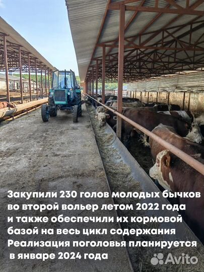 Инвестиции в сельское хозяйство. От 35 годовых