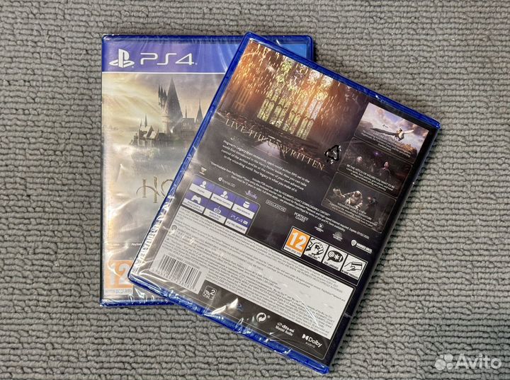 Hogwarts Legacy PS4