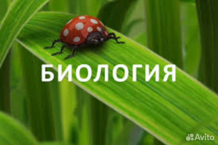 Репетитор по биологии