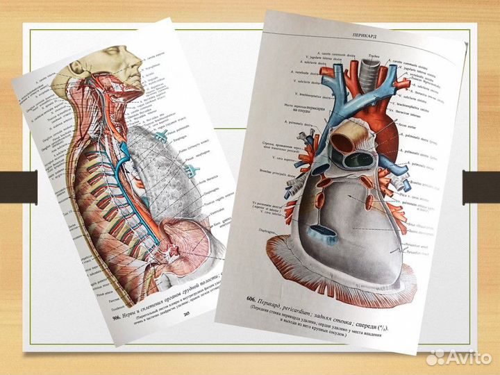 Книги по медицине