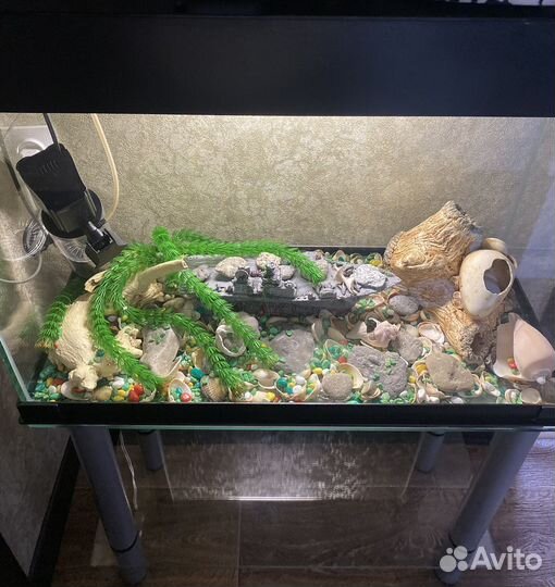 Аквариум