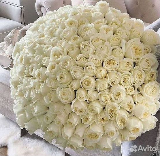 Высокие розы Гигантские розы Доставка цветов