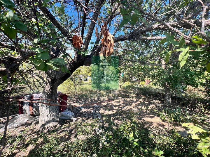 Участок 6 сот. (СНТ, ДНП)