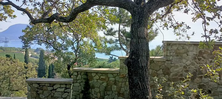 Участок 8 сот. (ИЖС)