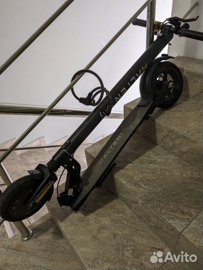 Самокат halten tony