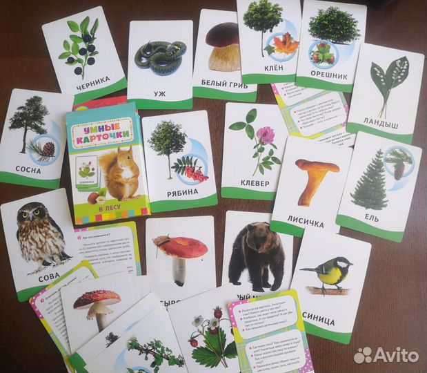 Умные карточки росмэн для детей пакетом