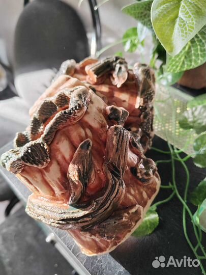 Укрытие для рептилий