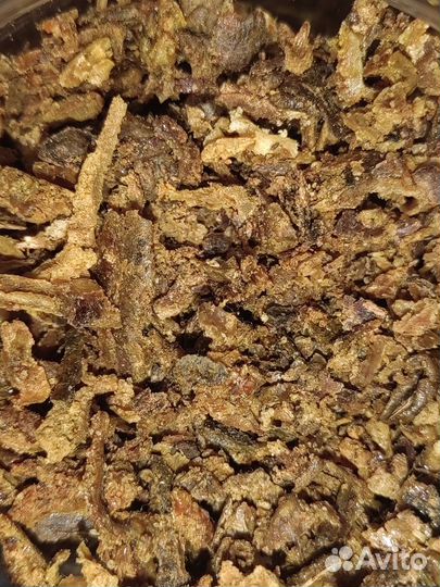 Прополис 2024