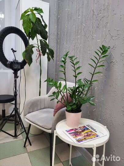 Кабинет парикмахеру, визажисту, бровисту