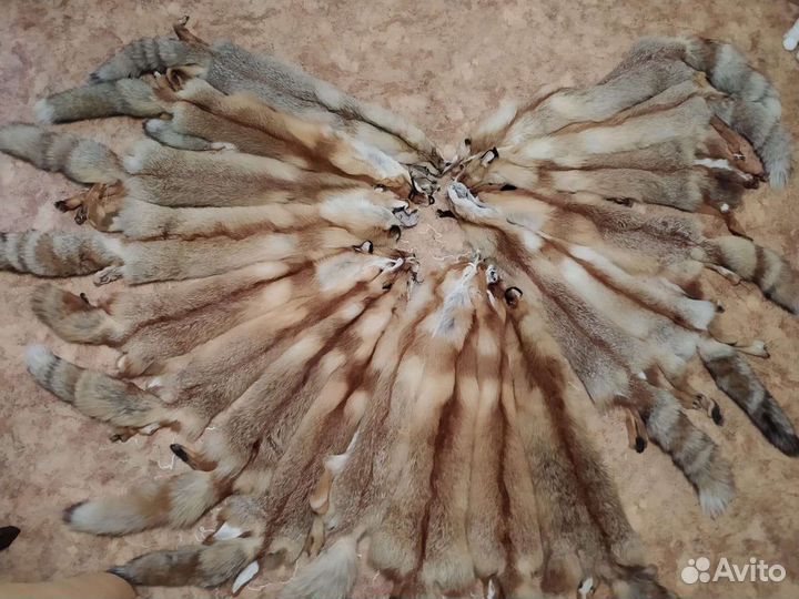 Лисьи шкуры